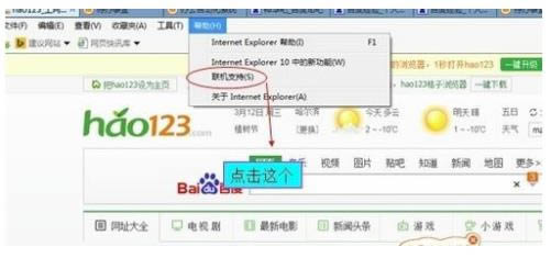 IE6g[