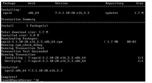 Squid cache-Squid-Squid cached v3.2.13Gɫ