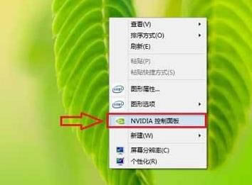 NVIDIA-NVIDIAԿ-NVIDIA v1.0ٷ汾