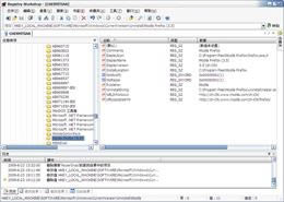 Registry Workshop-עԱ݋-Registry Workshopd v5.0.1.0ٷʽ