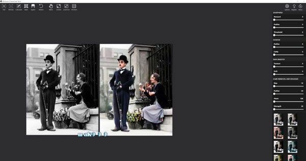 Picture Colorizer Pro-ͼƬɫ-Picture Colorizer Pro v2.3.0Ѱ