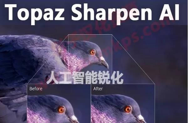 Topaz Sharpen AI-˹-Topaz Sharpen AI v2.2.2ٷ汾