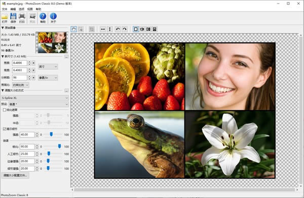 PhotoZoom Classic-ͼƬŴ-PhotoZoom Classic v8.0ٷ汾