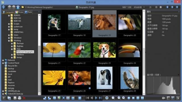 ɫL-ColorStormDg[-ɫLd v19.0.0.0ٷ