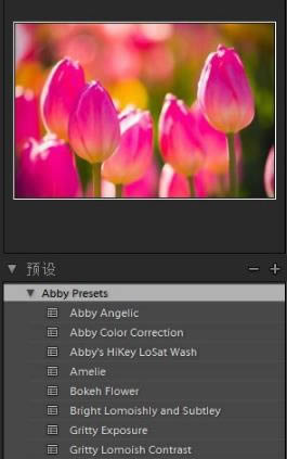 Adobe Photoshop Lightroom