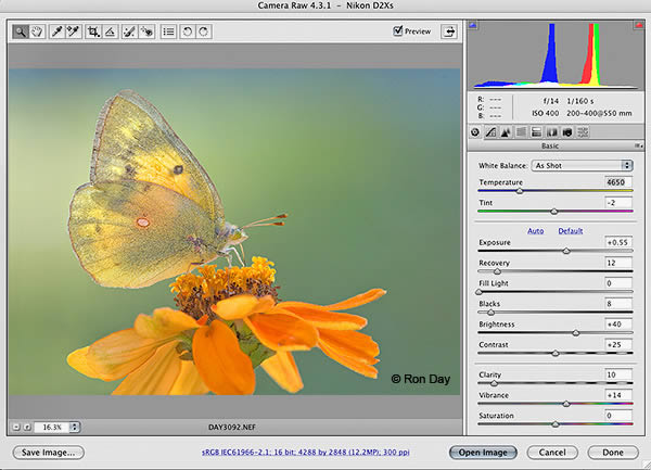 Adobe Camera Raw-RAWļ༭-Adobe Camera Raw v11.3ٷ汾