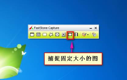 FastStone Captureİ؈D
