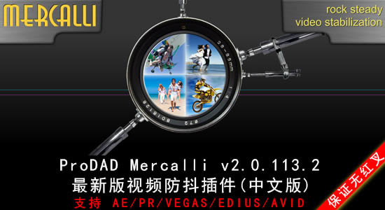 ƵȶProDAD Mercalli-ƵȶProDAD Mercalli v2.0.113.2ٷ汾