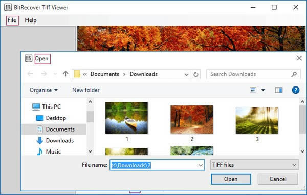 BitRecover Tiff Viewer-TIFFļ鿴-BitRecover Tiff Viewer v2.2ٷ汾