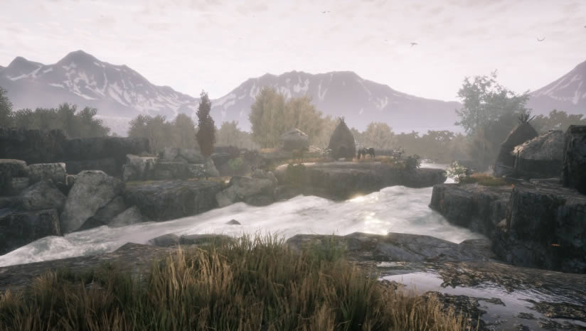 蘭古納的枯樹下載