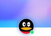 qq2023v9.2.2.26569ʽ_ٷMʽ