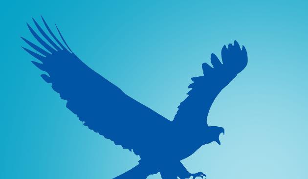 ӥEagleGet2023¹ٷ_ɫѰ