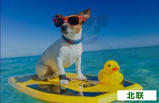 2345看圖王下載手機(jī)版